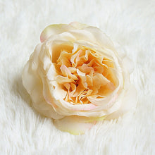 5574c9514bc2c7936c55b55bb7335058