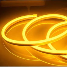 Neón FLEX 220V (Unidad)/LED Signo De Manguera AC 220V Metro Luz De Techo