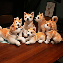 cbbce06406083269b5e1eb39fca6e8d0