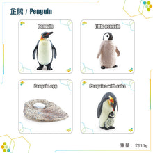 2fa7fc9737cae681b98163d30026e8dc