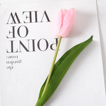 ca6248fc703af72f4c1d2baa04cc8d1b
