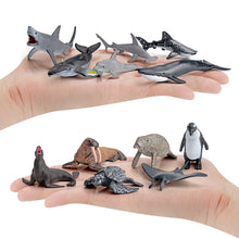 4731806dc36cbff6c3f4c0dec2fce55e