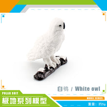 d099d1522ec03abc4b7ede22b2e4a54d