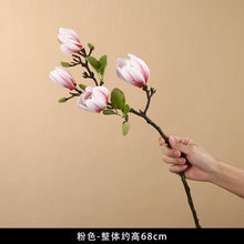 4c50519af869fa4a6aa01d3e990b0f66