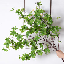 acb96781cd135be31c2b7d494fcbd324