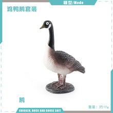 d81d541288a628d266cb7a736145da77
