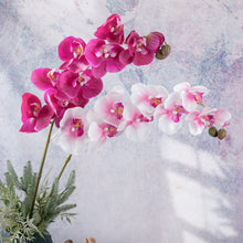 63d39d7bf1cc3d9bf67cbdf15bfe29b7