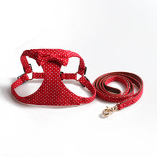45b62b5fc27f04c355bead892497c2c8