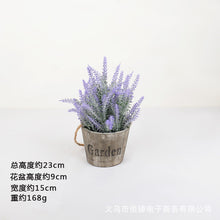 02e803d1b91a57d624581cac351acb51