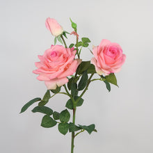 1cc76ca799045adf9d7f2d4229babb79