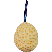 14d0c45625e06b9e4ffe1b404a78f75d