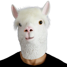 9f3e76c35ab6f4b640ffb304bfef2de7
