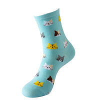 495592a7e989fdd66e4c16c6cd1222c2