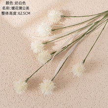 d98491ab9a779a3a8883fd4e965d5ba1