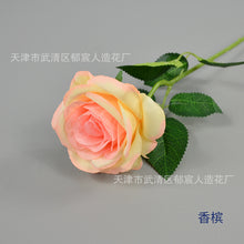 5ba1ddcd416a7e5377ab8b250dbcfa02