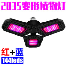 c32c00349a6490cf1c414bd5270a2b3c