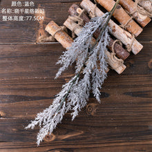 70c427cbd0dc83dd2ae0a008a16e0950