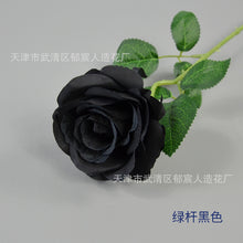 deb9ae03c07589901981a4b972536be8