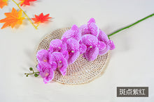 3cbdc6f5192f43cee8eb3f4301114a4e