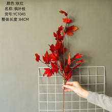 d9e87c56e968eb8cfaee15fee966556b