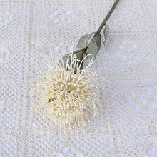 dfaf565350cadcdf25dfb29fa4fded76