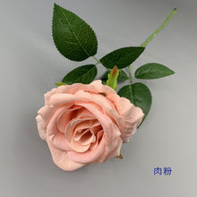 3bb7f052b7a1de5b1282d2bfd8b6f0f1
