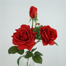91c123de466fa5eeb4baa5fb14614e01
