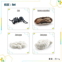 9a67d8553fec6fd6205f99b24437acd7