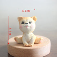 c3cdc8355a00e35f3c3b9ad1b8ce125a