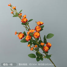 a135270c77461efe90aaa1bf086963c8