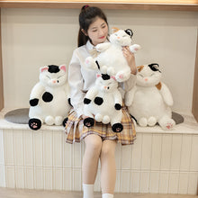398a5ec093525321584b72f176c7185c