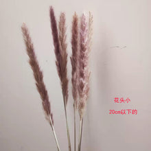 2cd4ce12f2b13a63becedbffea513d1f