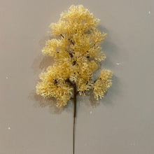 ed8ab38355afb652d94ae7066de8b3d9