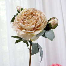b1c95012be66c75a50b8a4f4e158107b