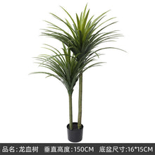 d8924242c76f9a35d3cf634f8062743a