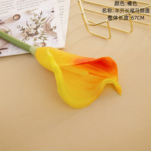 ebe1a0d616ec3fc380304173d34276e3