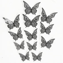 81dc0349798e6a73f74de6d8d3b6c9de