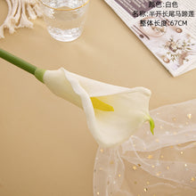 af237e53dd3662917f695be97c0562a9