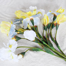 9fe218c16a60f4e88cd41fe95be30997