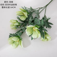 fb5897f362d58b50649aebac99d591af