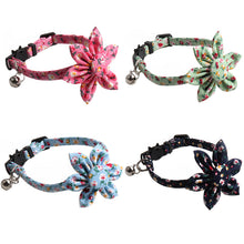 1c51a13128e2e5f2411e58ad65902b10