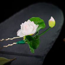 f789003c4de1ad3ed81017573d957b5c