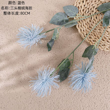d721ae76769a1beaa4cac532ca95e5f0