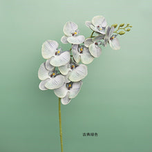 fe7898062fd3a74a1bdd249eb5a8463d