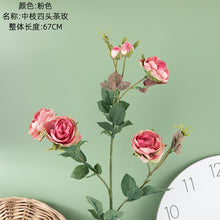 d50a4e24b044b1c2ce4114e89d990b46