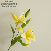 48b96c446045ff244d482a284df5dc04