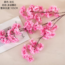 79c2cb156fea1dd73c4e0bbf9b5fe468