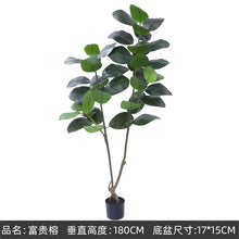 fd1ae4460bc496be9facb6509168c26c