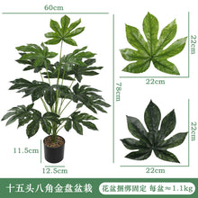 282c542bf9435e209de176867330503d