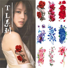 d1bd57efd22353f896088b21f9277cfb